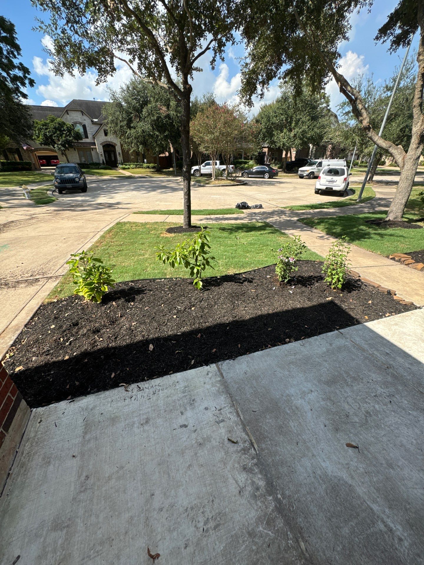 🌿🏡 Project Spotlight: Front Yard Curb Appeal Rescue for Mr. B. Khara by Texas Urban Elements