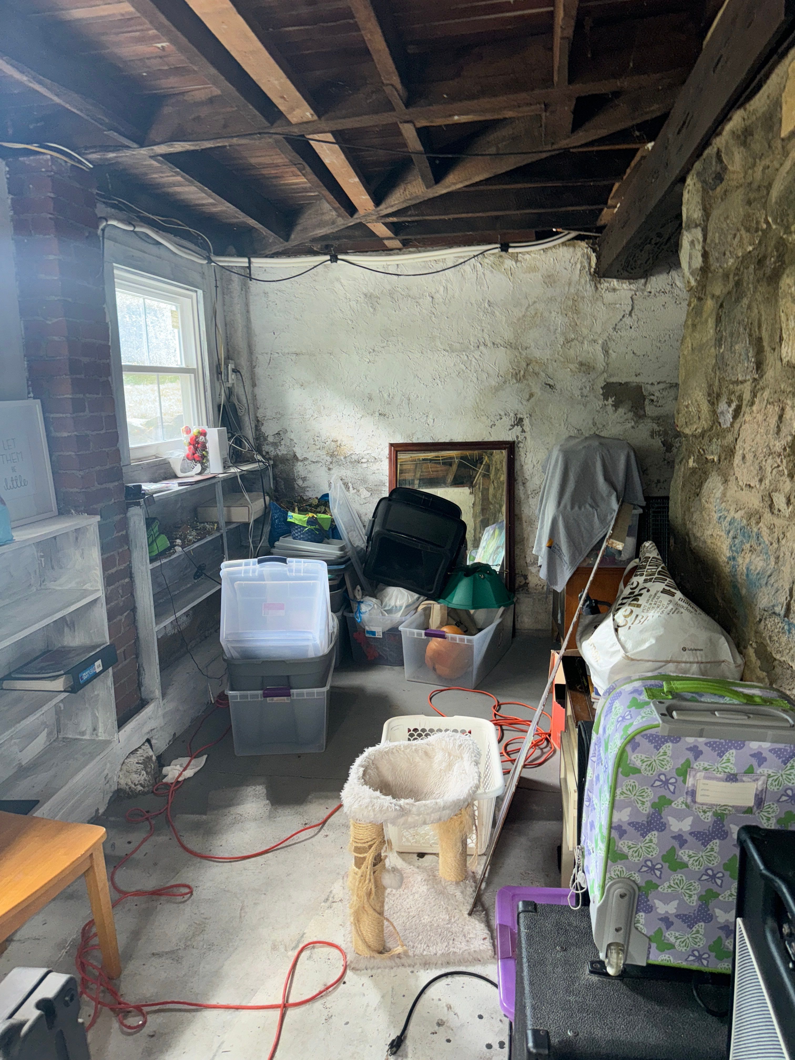 Interior French Drain & Mold Remediation in Mt Tabor NJ by Pure Service Pro, LLC 