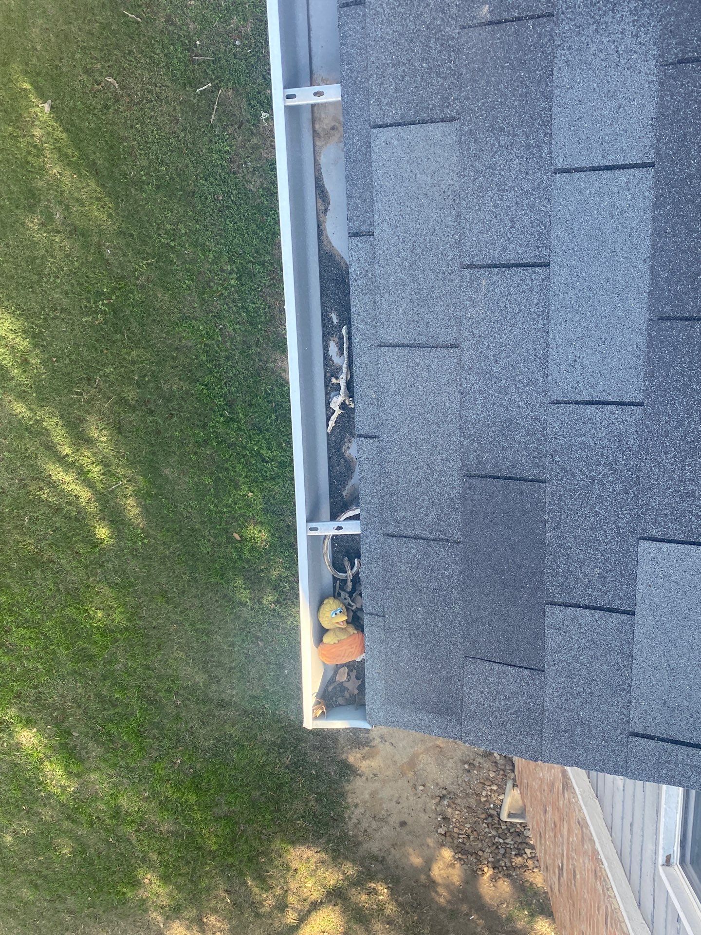 HOA gutter cleaning before photo.