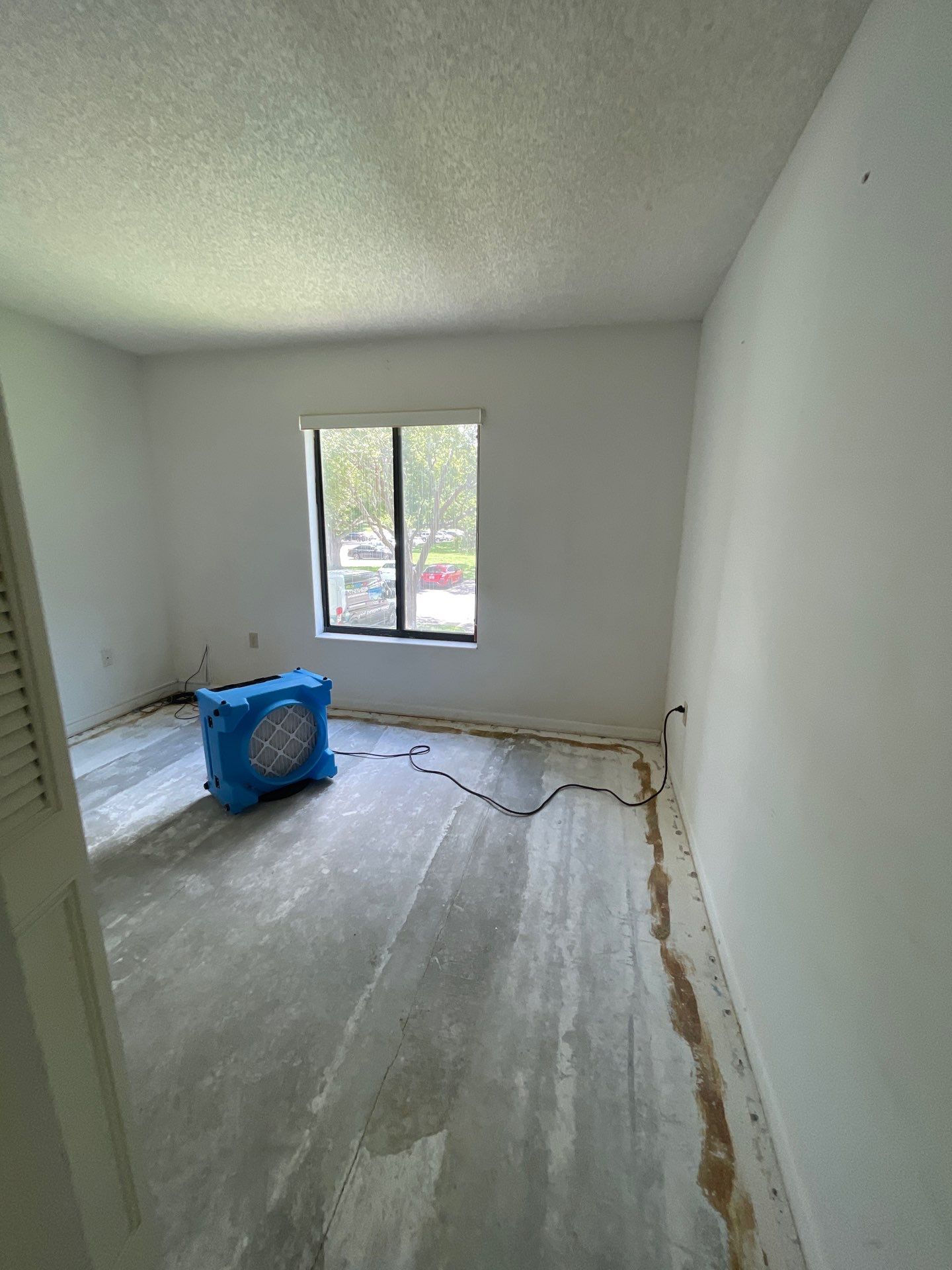 Horder house with Mold and Bacterial Contamination Issues  by Bay Coast Restoration 