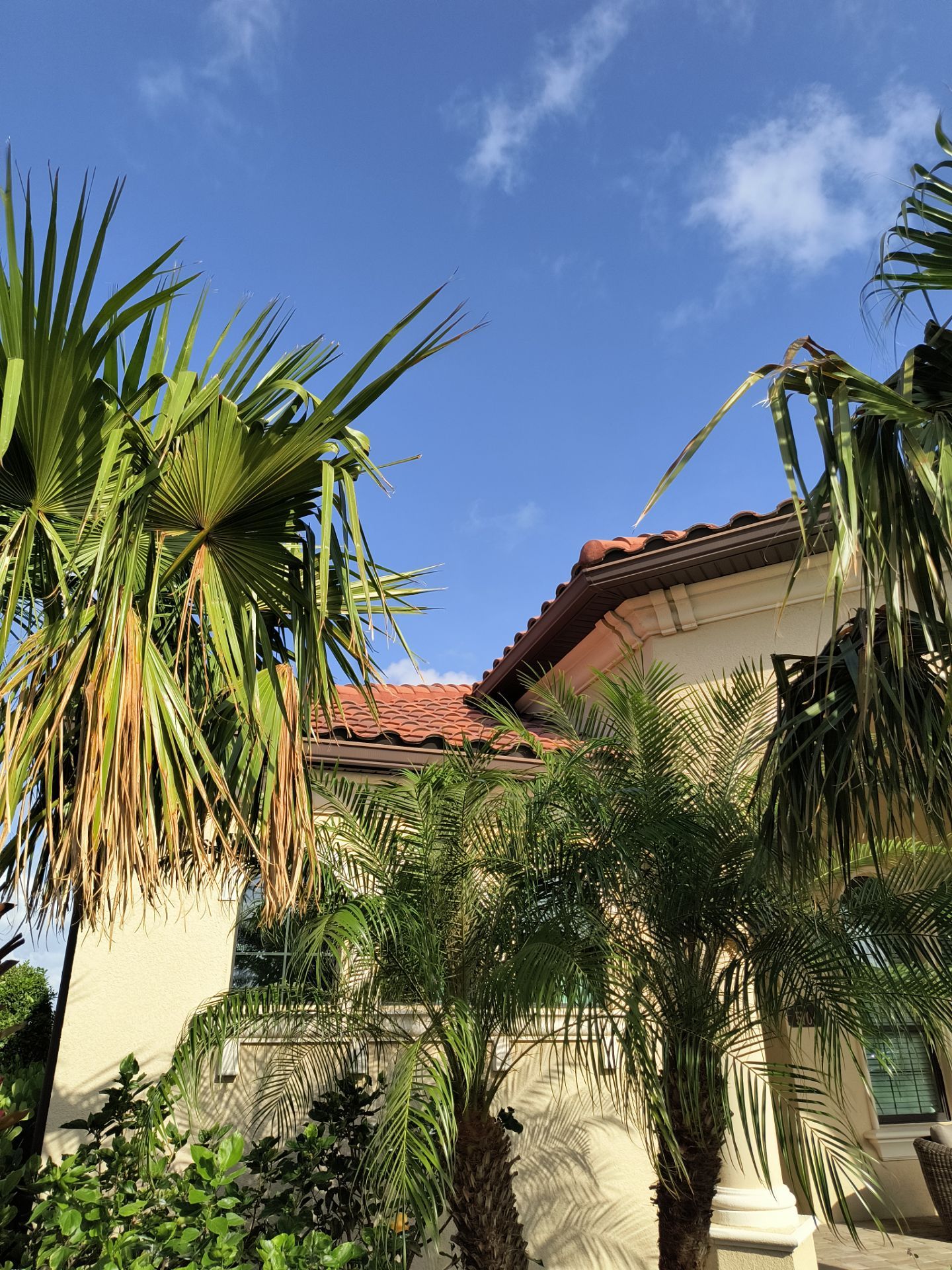 Musket Brown Seamless Gutters using Musket Brown Seamless Gutters in Brudenton by Gutter Professors