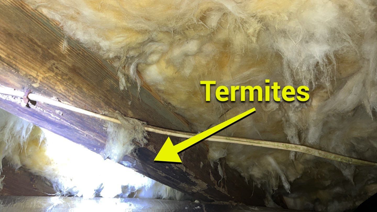 Impact Choice Encapsulation using YCS Pro Cleaner by Impact Crawlspace