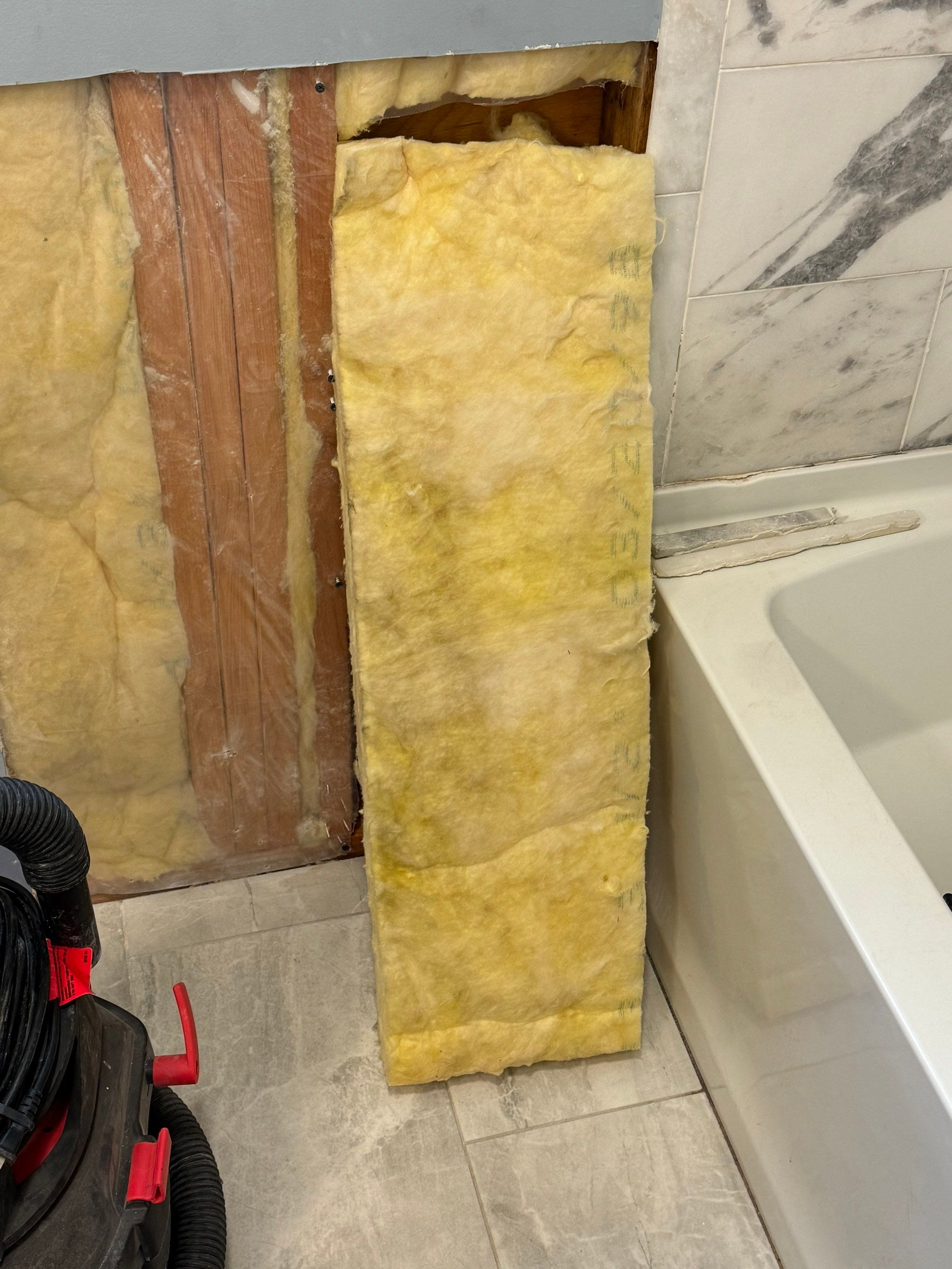 Bathroom Mold Remediation by Home Guarantee, LLC