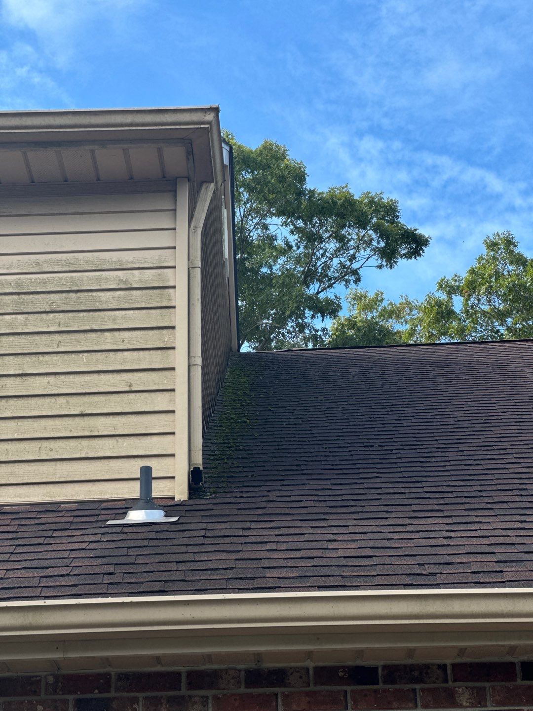 Multi Services by SJ Exterior