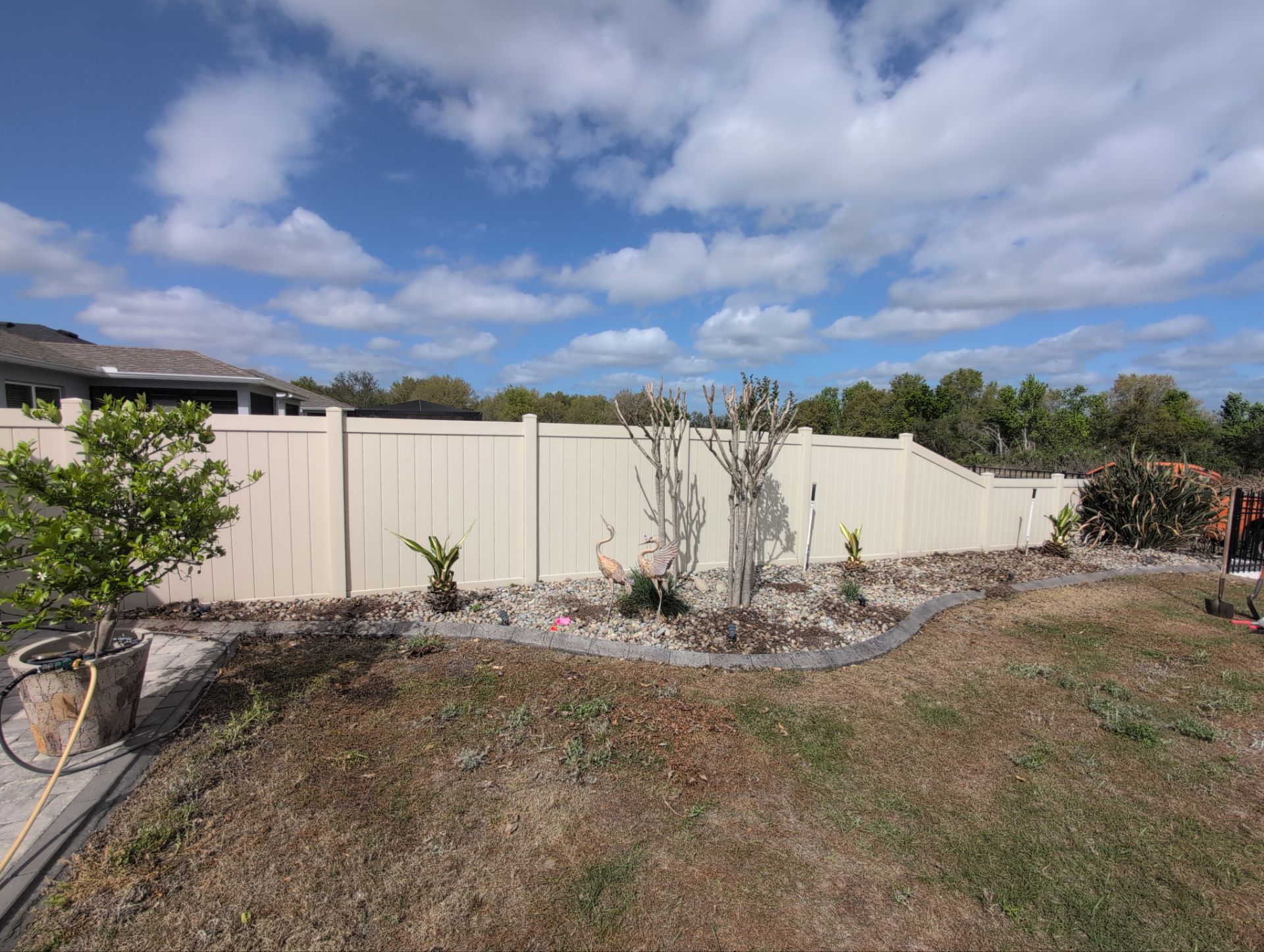 Cold Damage Plant Removal & Landscape Cleanup by
M.A.B. Landscaping & Property Maintenance