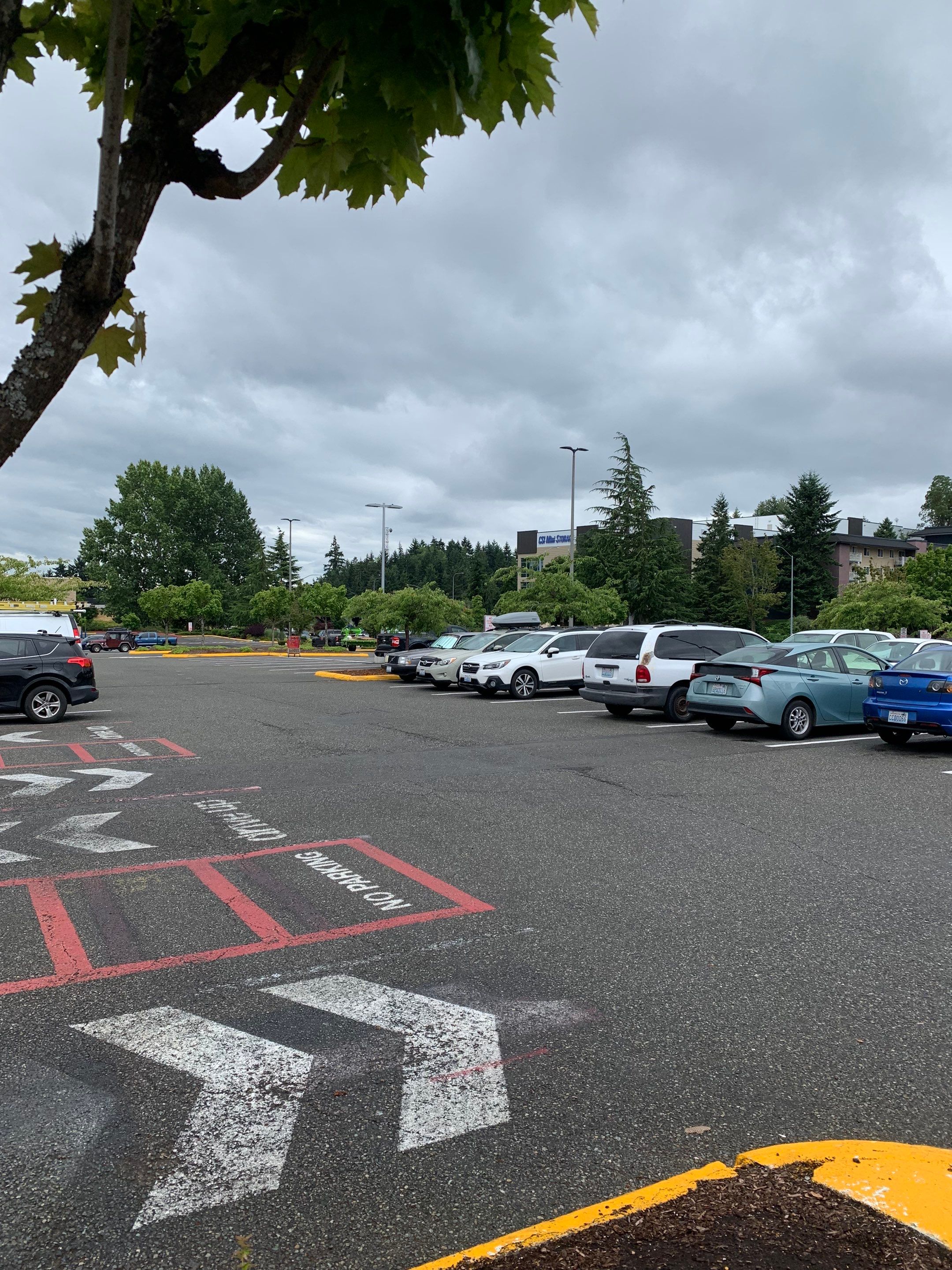 Trisha | Asphalt Parking Lot Repair   by Jireh Asphalt & Concrete Inc 