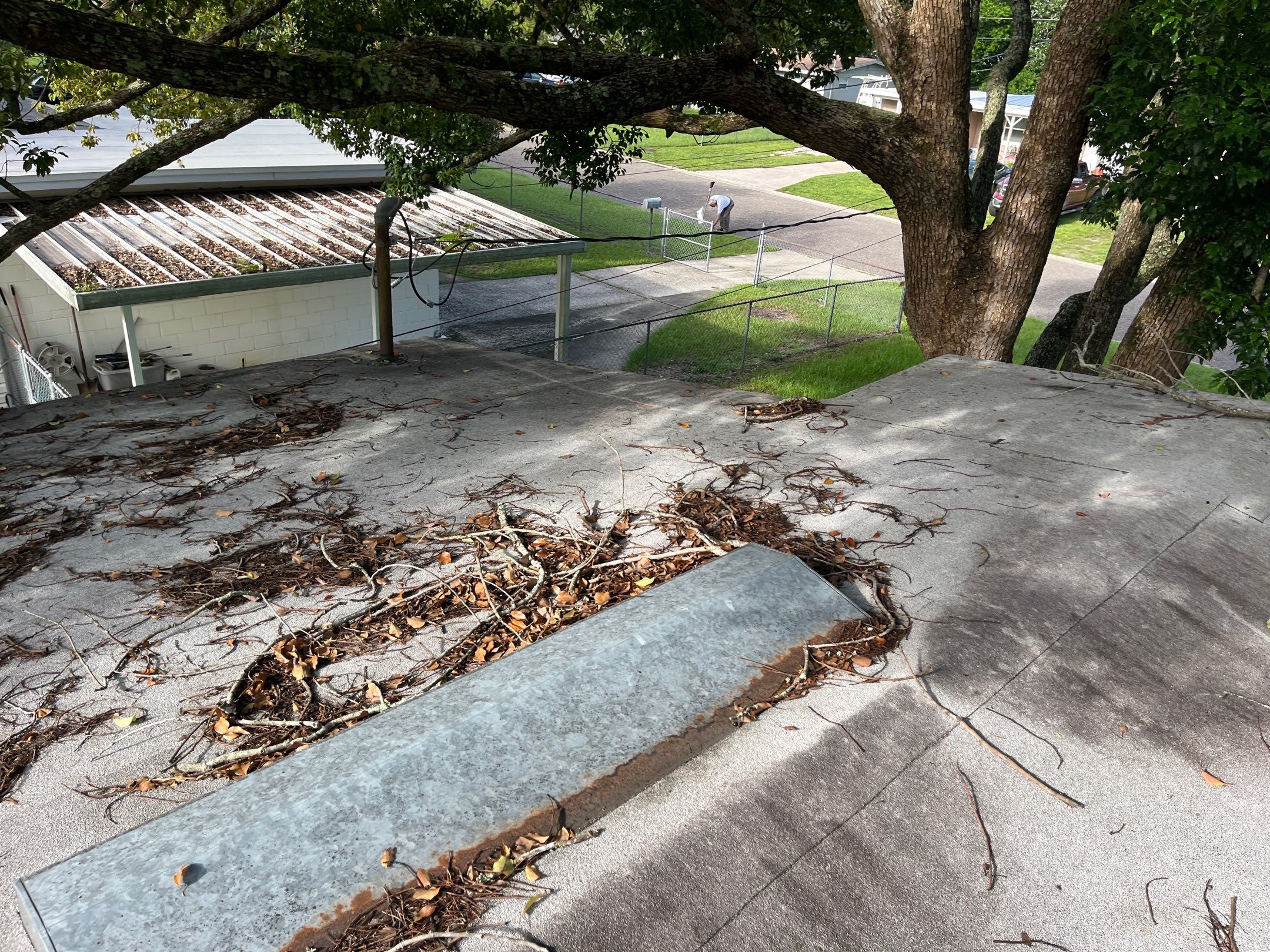 Shingle -> Shingle by Prime Roofing