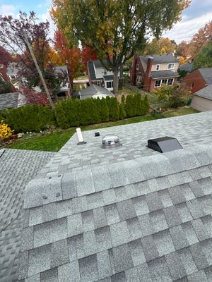 Project in Dearborn, MI