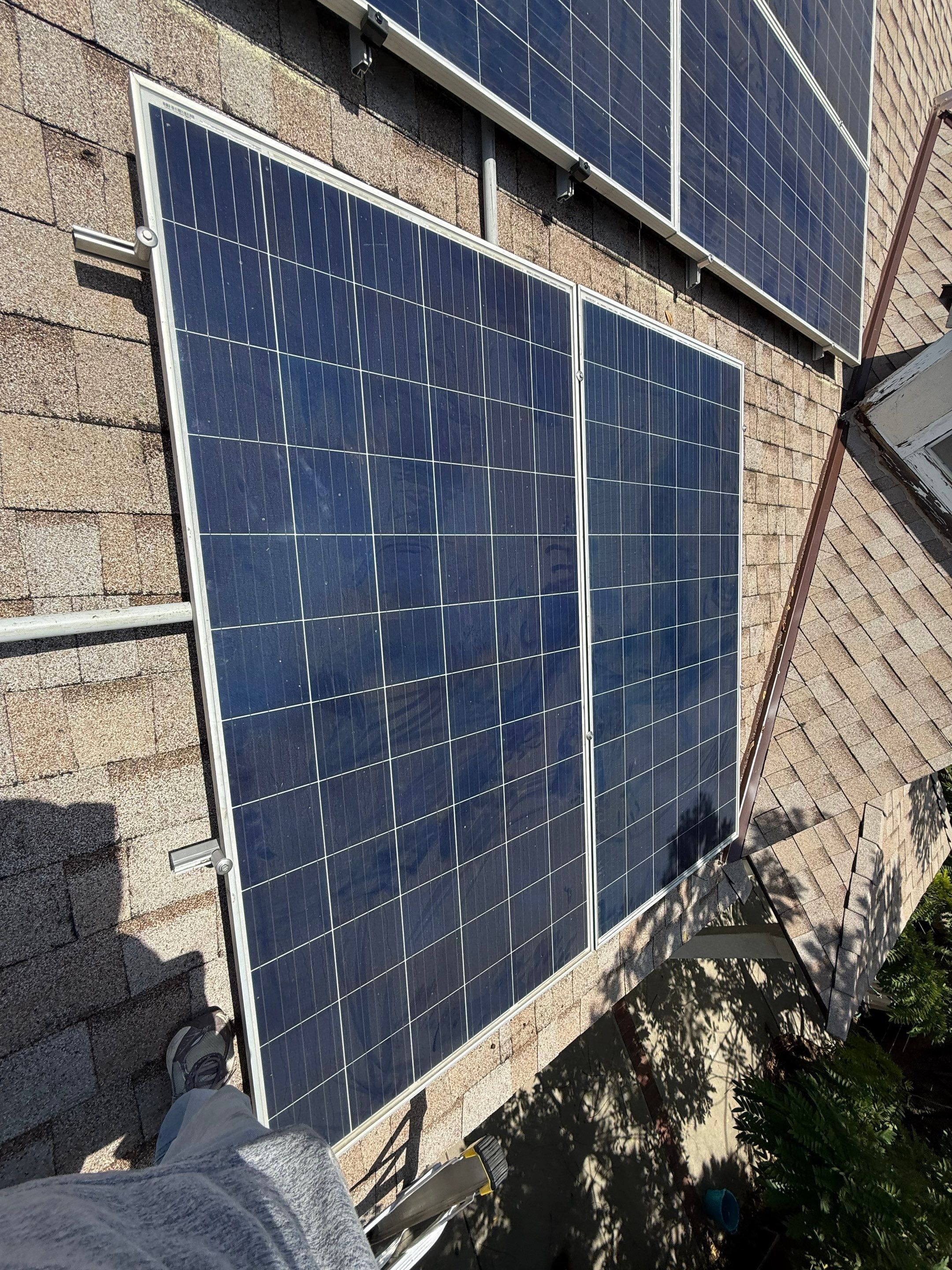1527 Alamitas by Solar Discovery