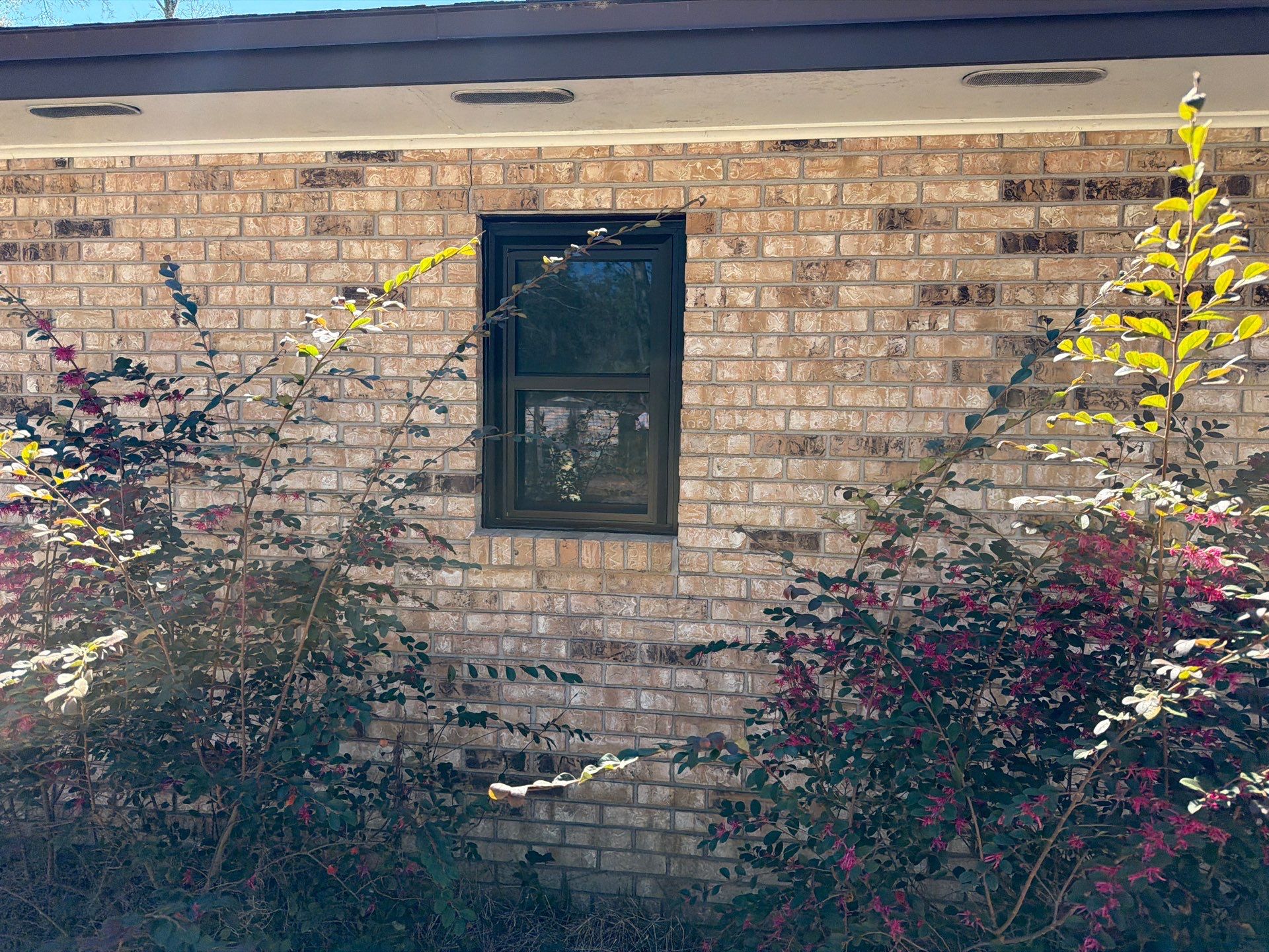 Project in Lake City by Windows & Doors Store