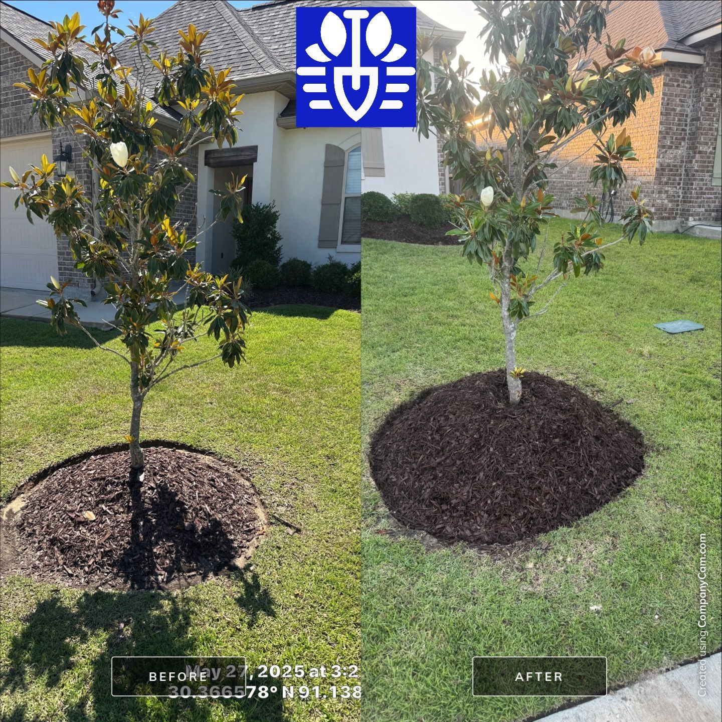 LANDSCAPE SERVICES: DEMO / BED PREP / CUT IN BED EDGES / MULCH INSTALL using BROWN MULCH "BARK BRITE" by CutScape, LLC.