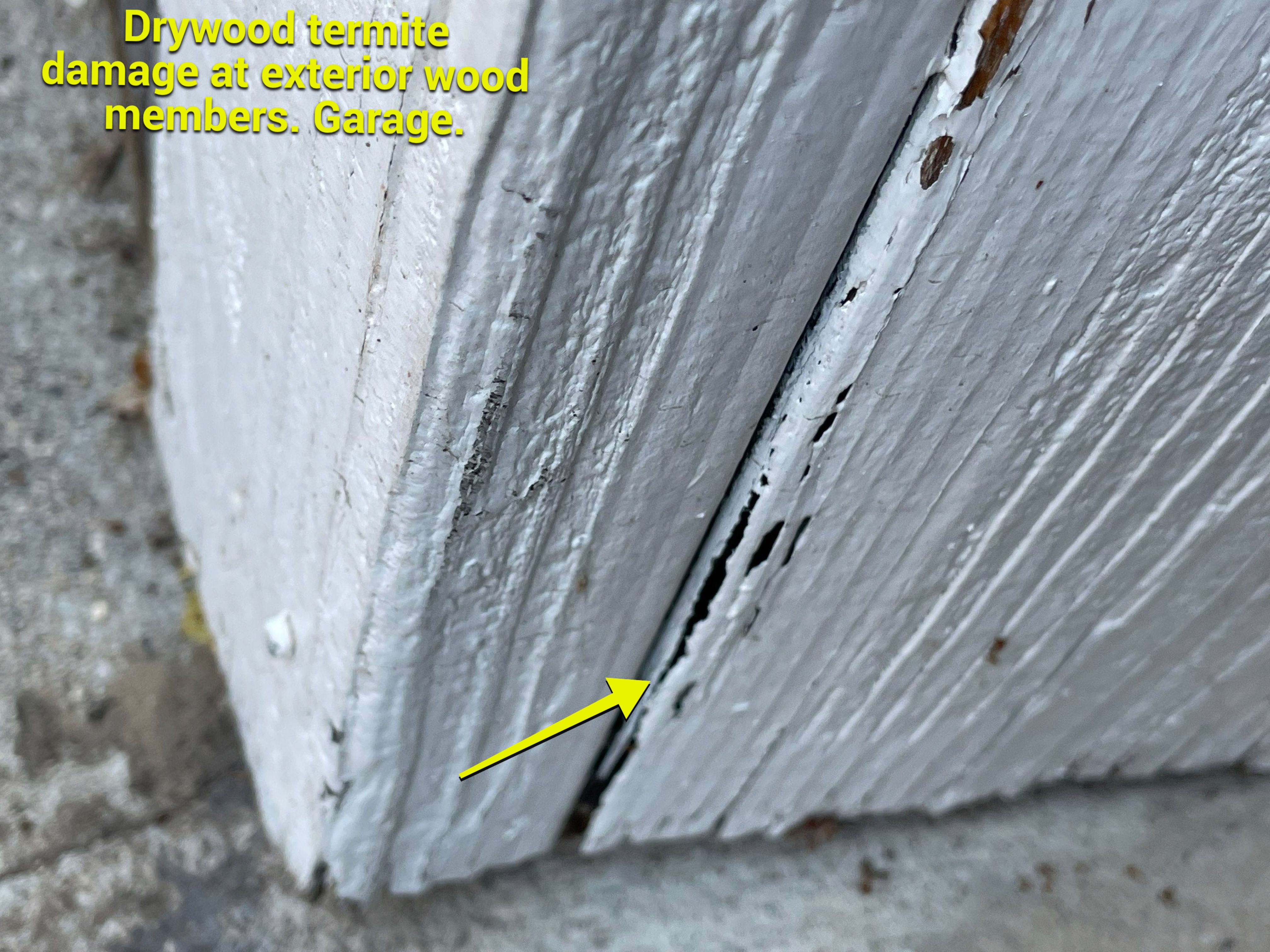 Wood Destroying Organisms Report by GLOBAL Termite Solutions