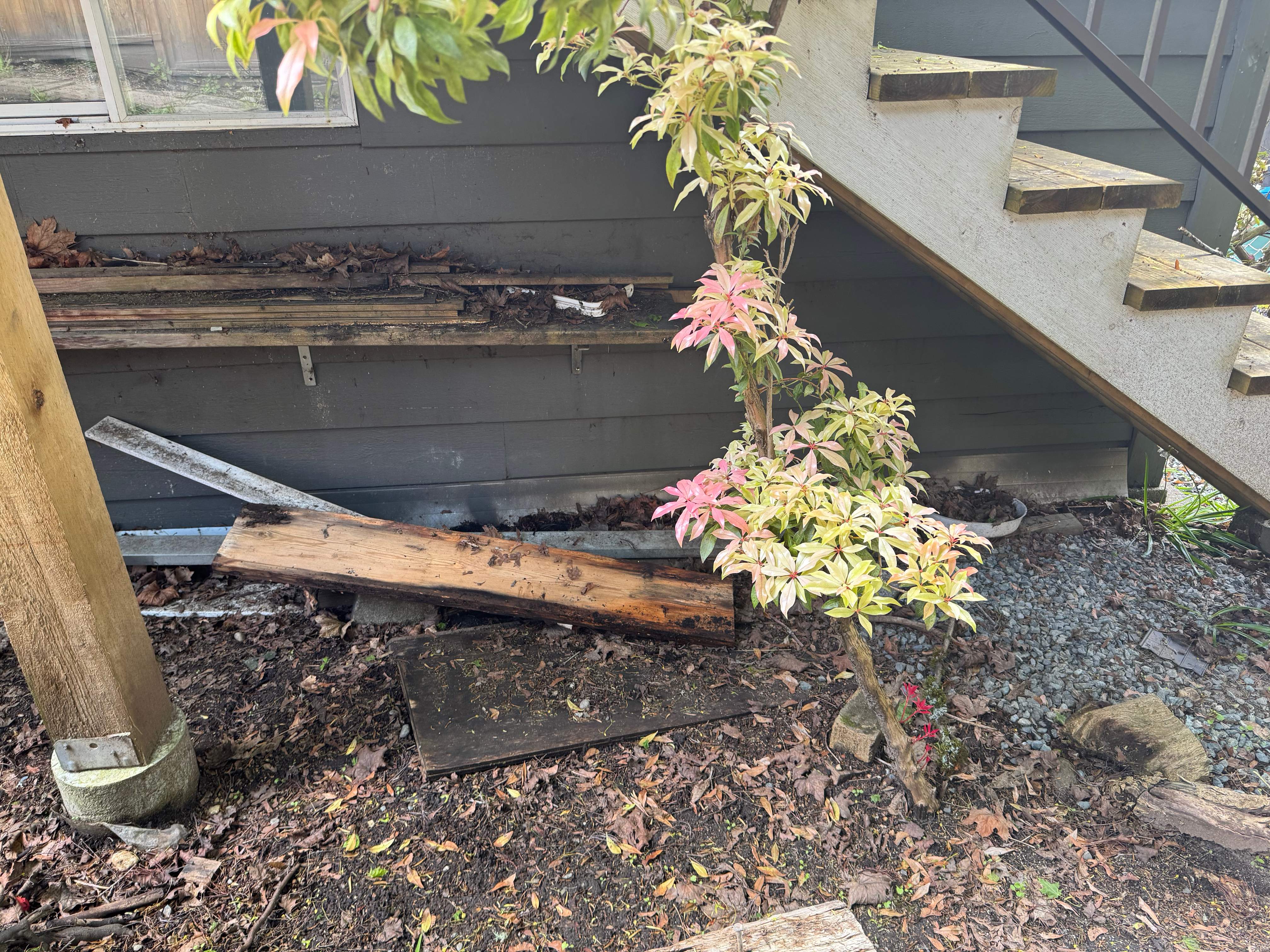 New Deck & New Set Of Stairs by YVR Construction Group