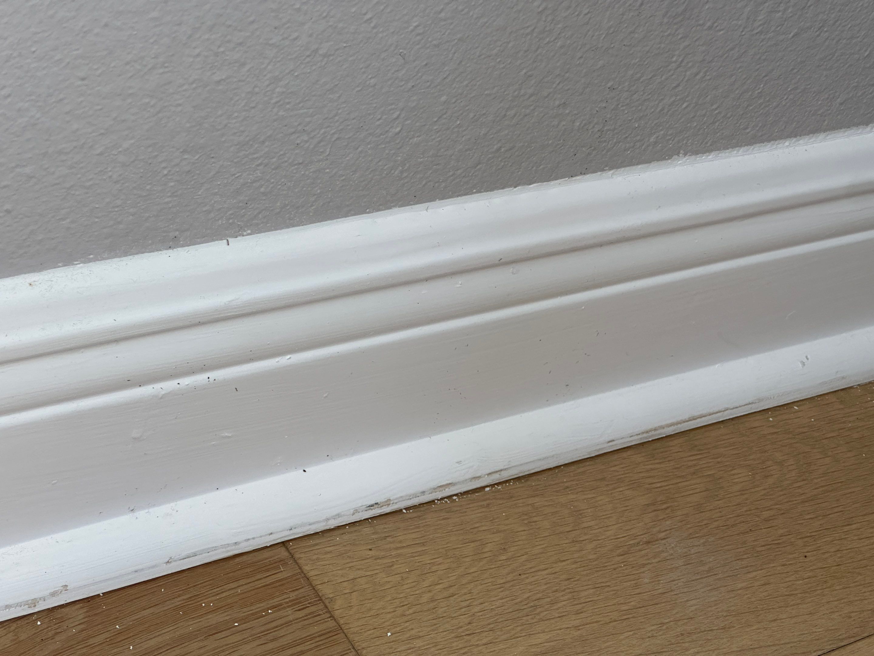 Water Damage Claim in Holmes Beach by FLAPA & KeyStone
