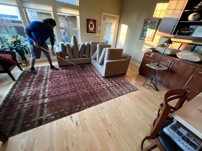 Carpet and Upholstery Cleaning in Lake Oswego