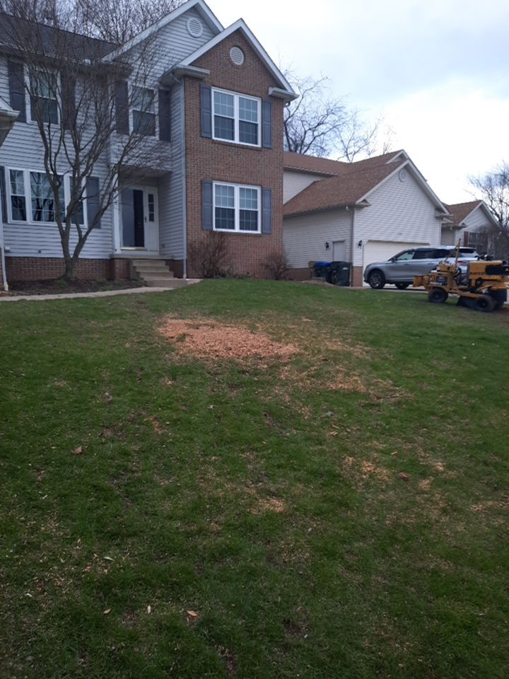 Tree Removal using Tree Removal by Mike Jones & Sons Tree Service LLC 