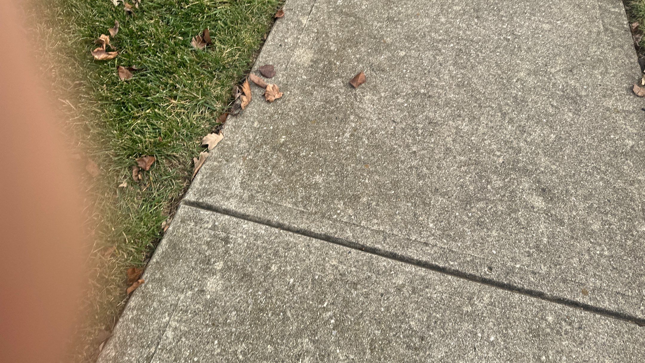 Walden Ponds - Pristine Black and Hydro Flo Gutter Guards by Tamlin Roofing