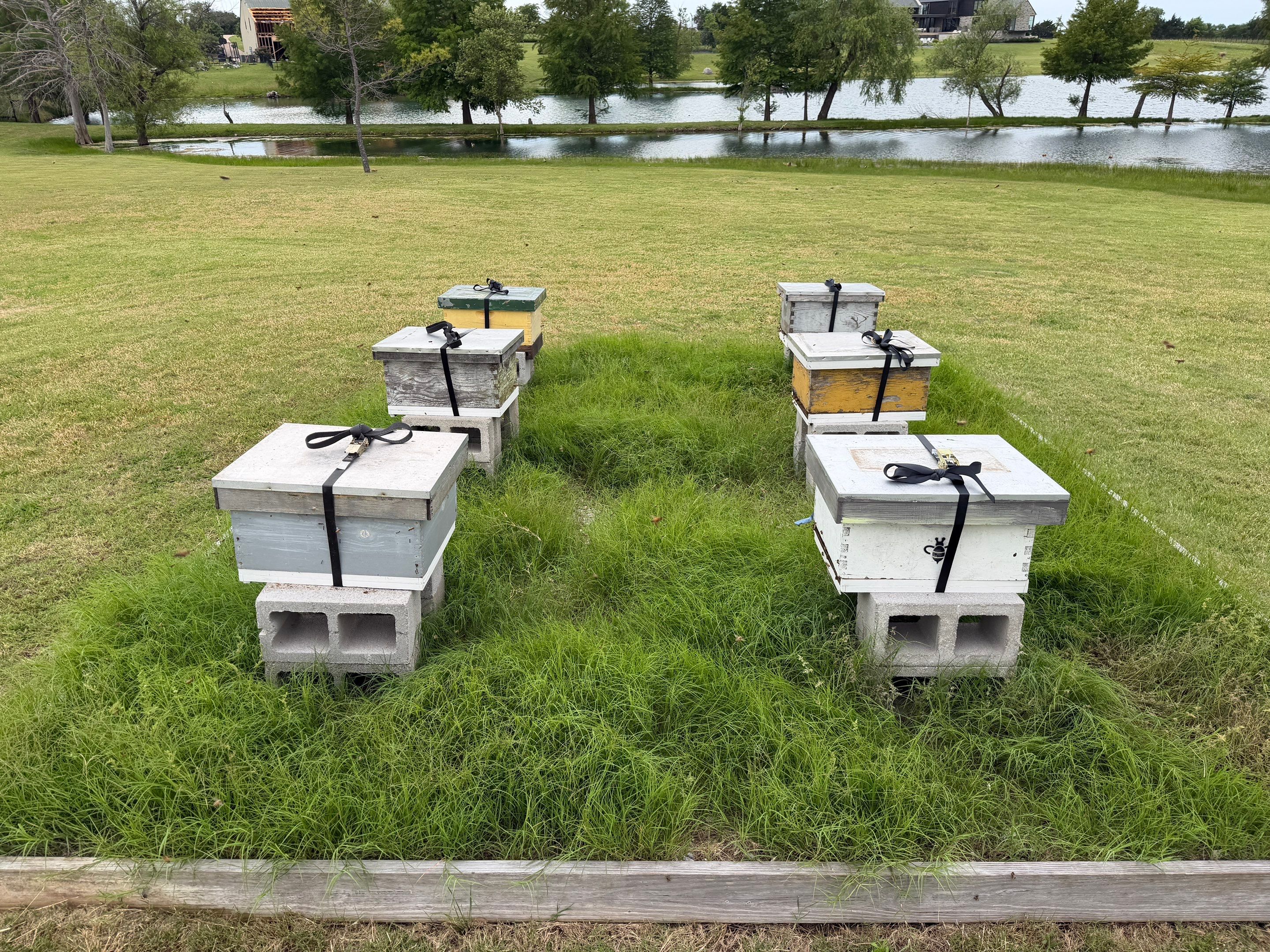 Double Family Property in Heath for Ag. Exemption by Rockwall Honey Bee Company