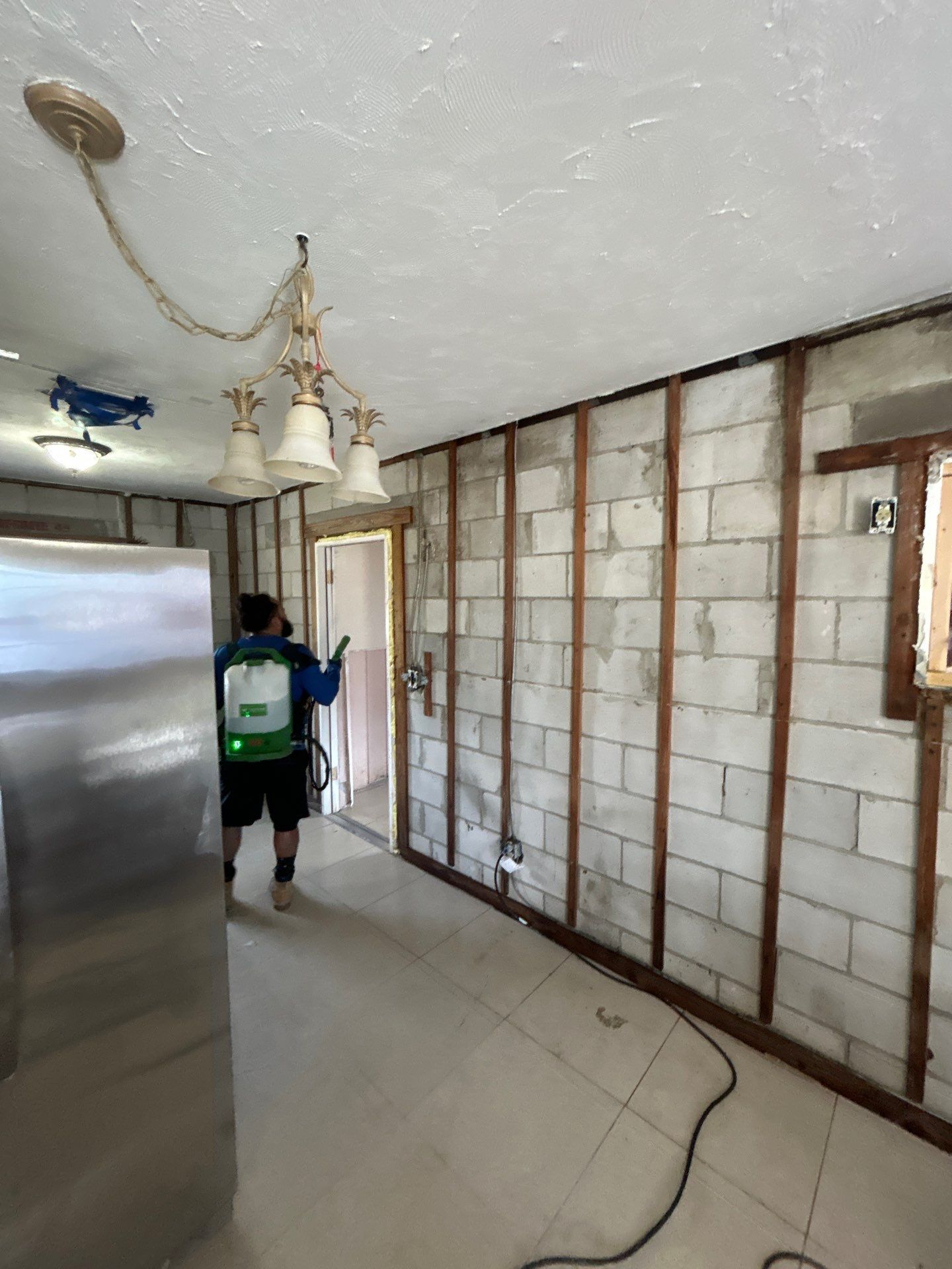 Tampa Mold Removal by Ampm Restoration Services