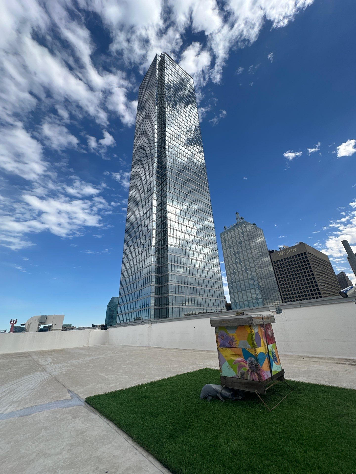 Downtown Dallas by Rockwall Honey Bee Company