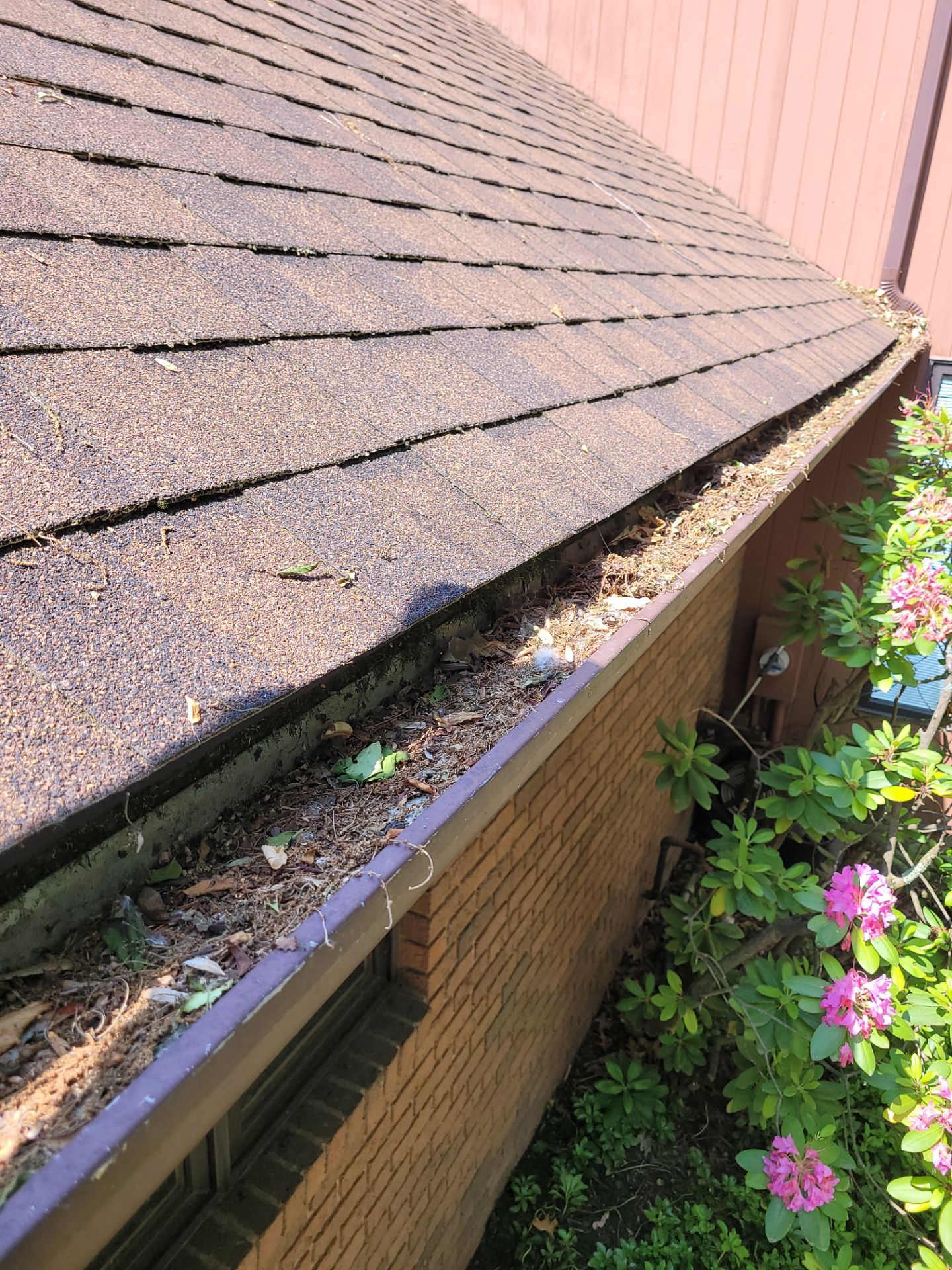 Jennifer Klide by Silver Leaf Contracting 