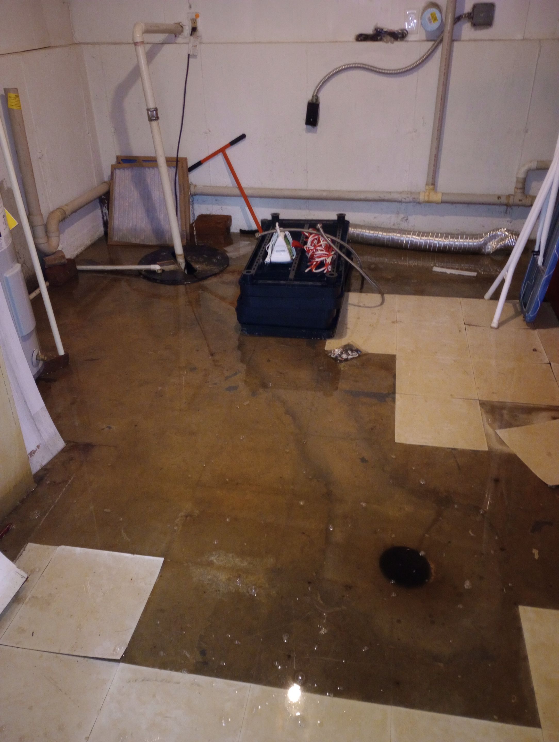 Flooded Basement Water Mitigation by ANR Restoration
