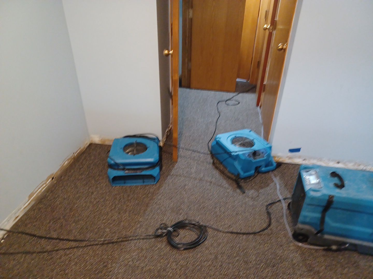 Project in Ann Arbor by EzDry Water Mitigation & Property Restoration