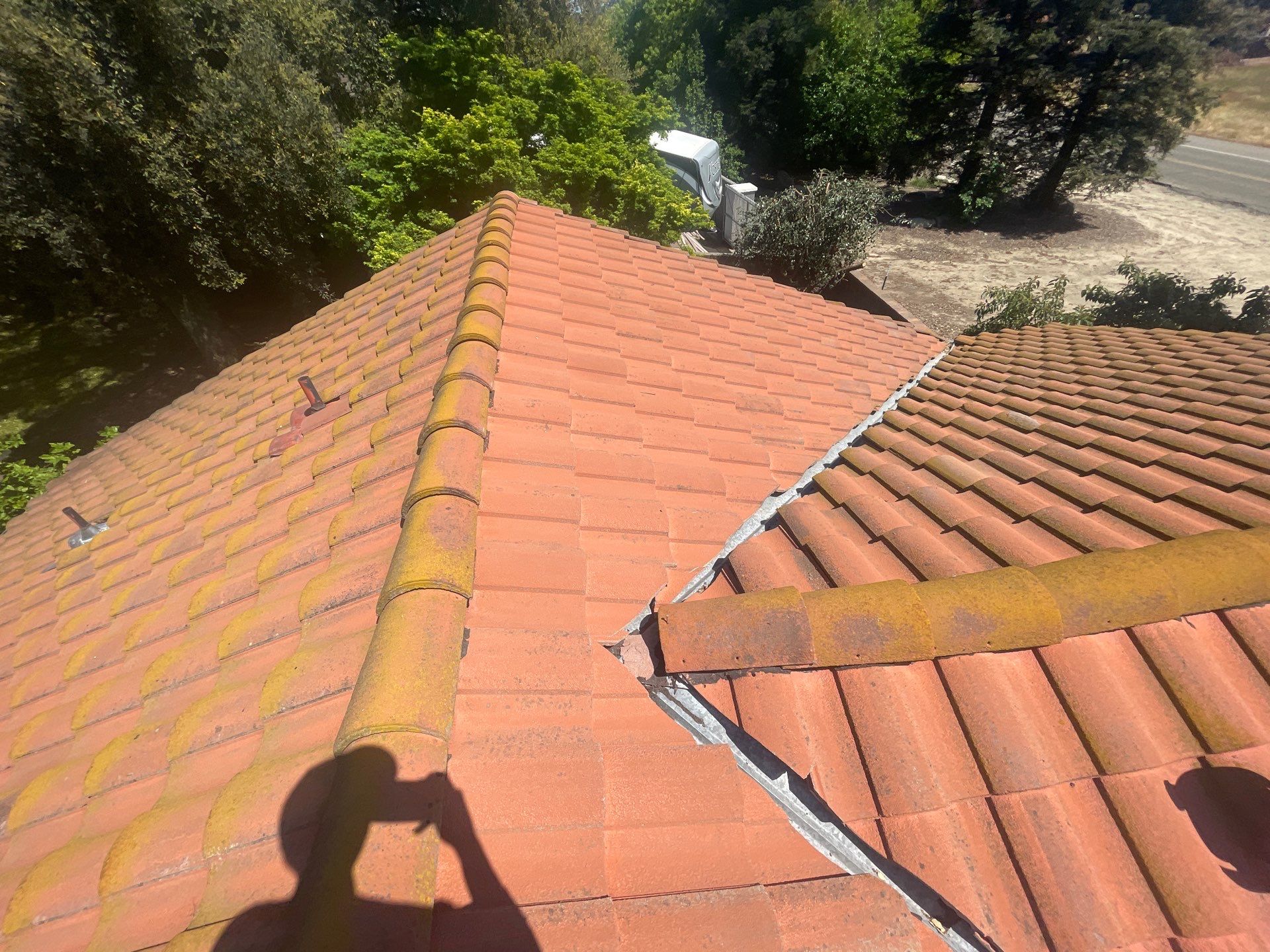 Presidential shingle roof by Straight Edge Roofing Inc