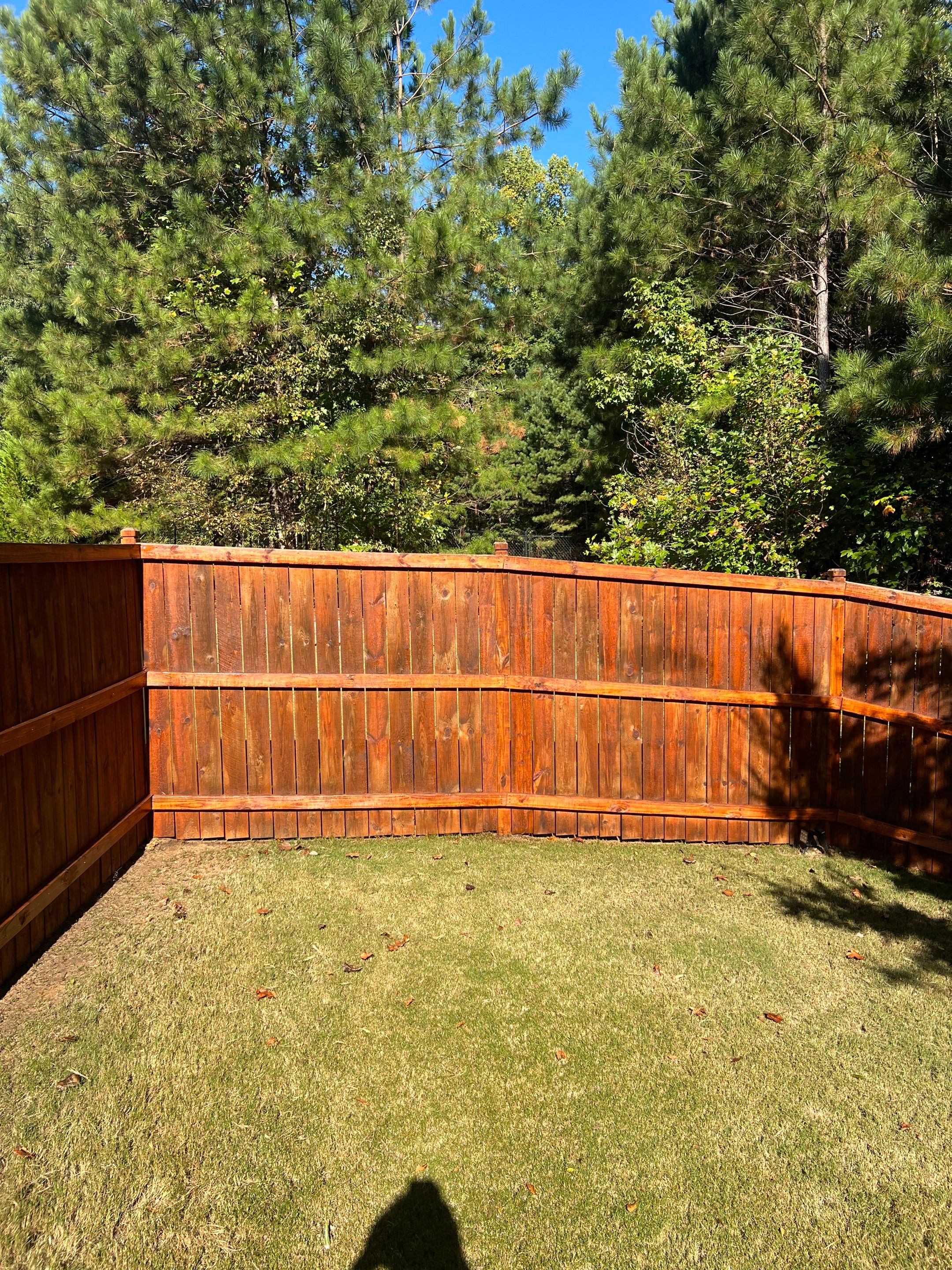 Fence Staining using Pecan by SSE by Titans of Timber Fence & Stain