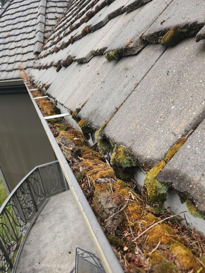 Moss Removal/ Treatment using Biocide by Willamette Outdoor Wash LLC