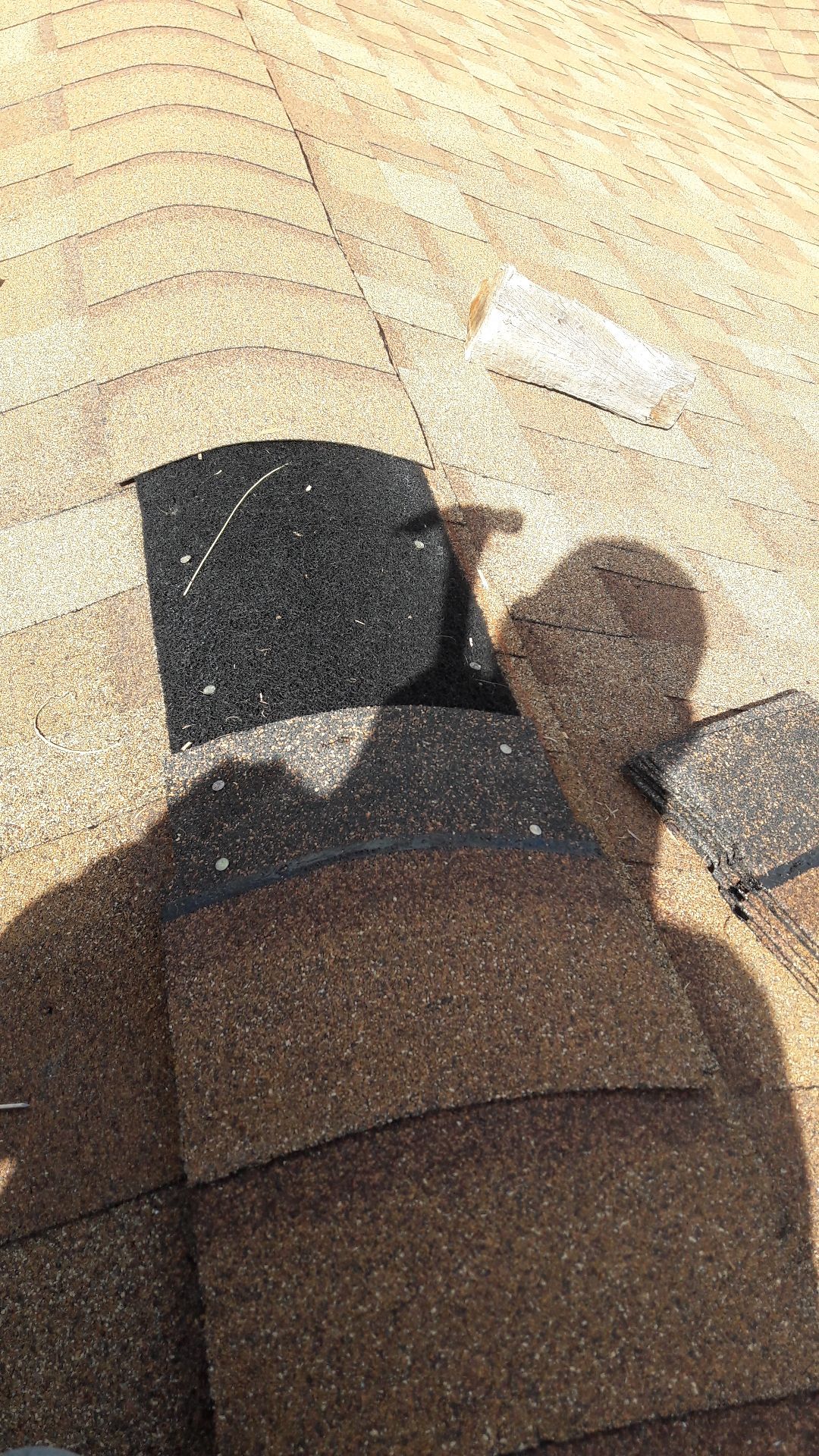 Shingle Roof Repair  using Landmark Shingle by Aastro Roofing