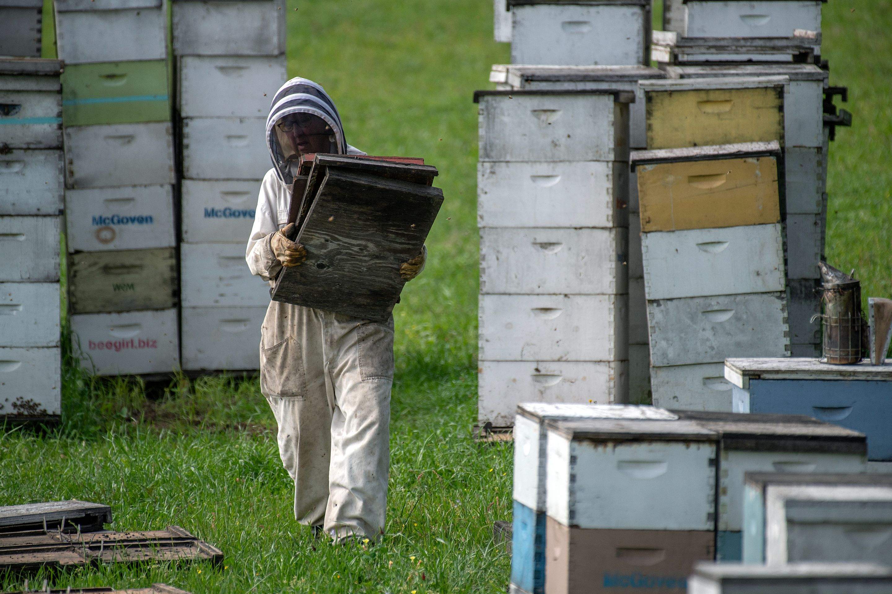Splits in East Texas by Rockwall Honey Bee Company
