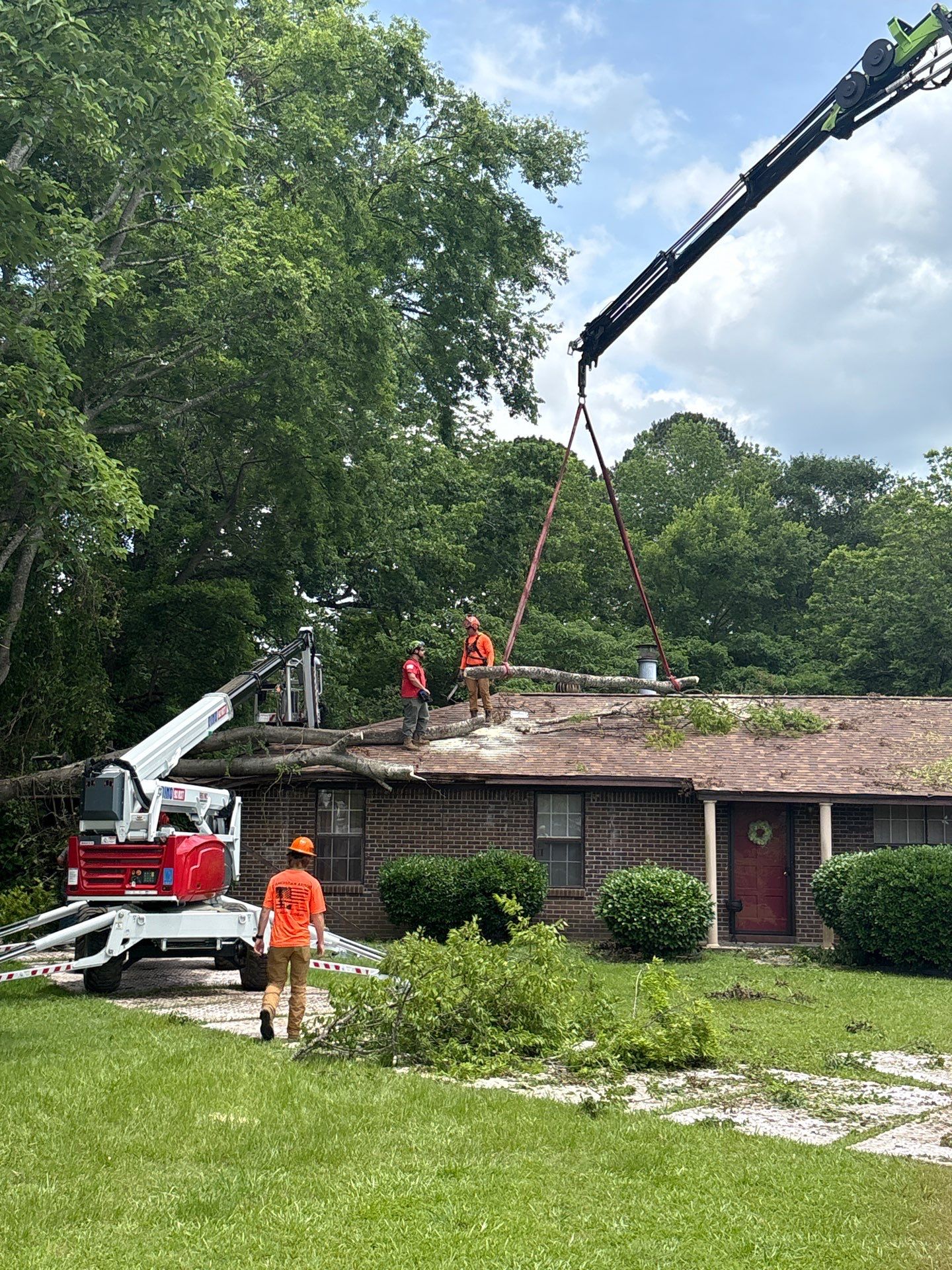 Crane-Assisted Emergency Removal by American Arbor