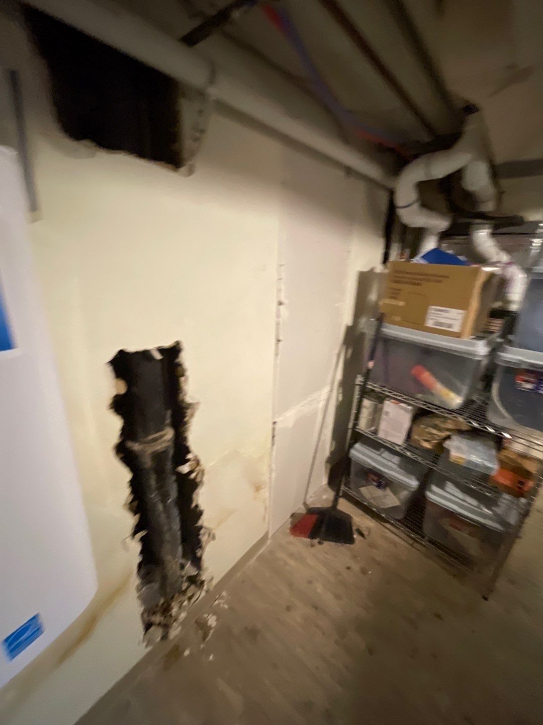 Mold Remediation by Accountable Home Services