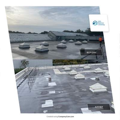 EPDM (rubber) Roof Cleaning using Honda 15lpm Low Pressure Washing Machine