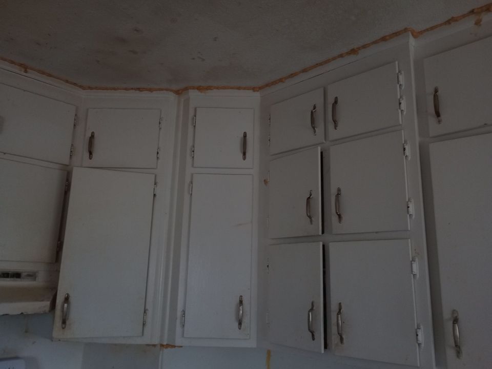 Mold Remediation After Water Damage in a Home in Clarksville, IN by ANR Restoration