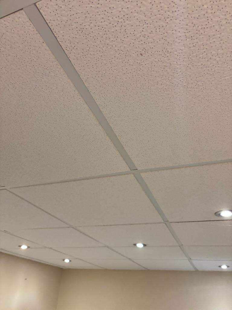 Ceiling Tile & Bathroom Vent Replacement - Columbia, IL by Legendary Services Company LLC.