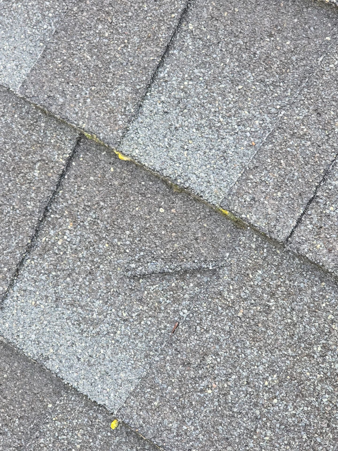 Roof Rejuvenation using Roof Maxx Treatment by Roof Maxx of Folsom