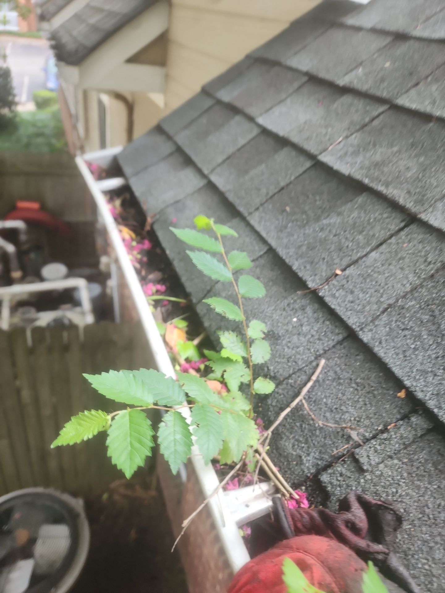 Commercial gutter cleaning Norfolk, VA before photo with filled gutters