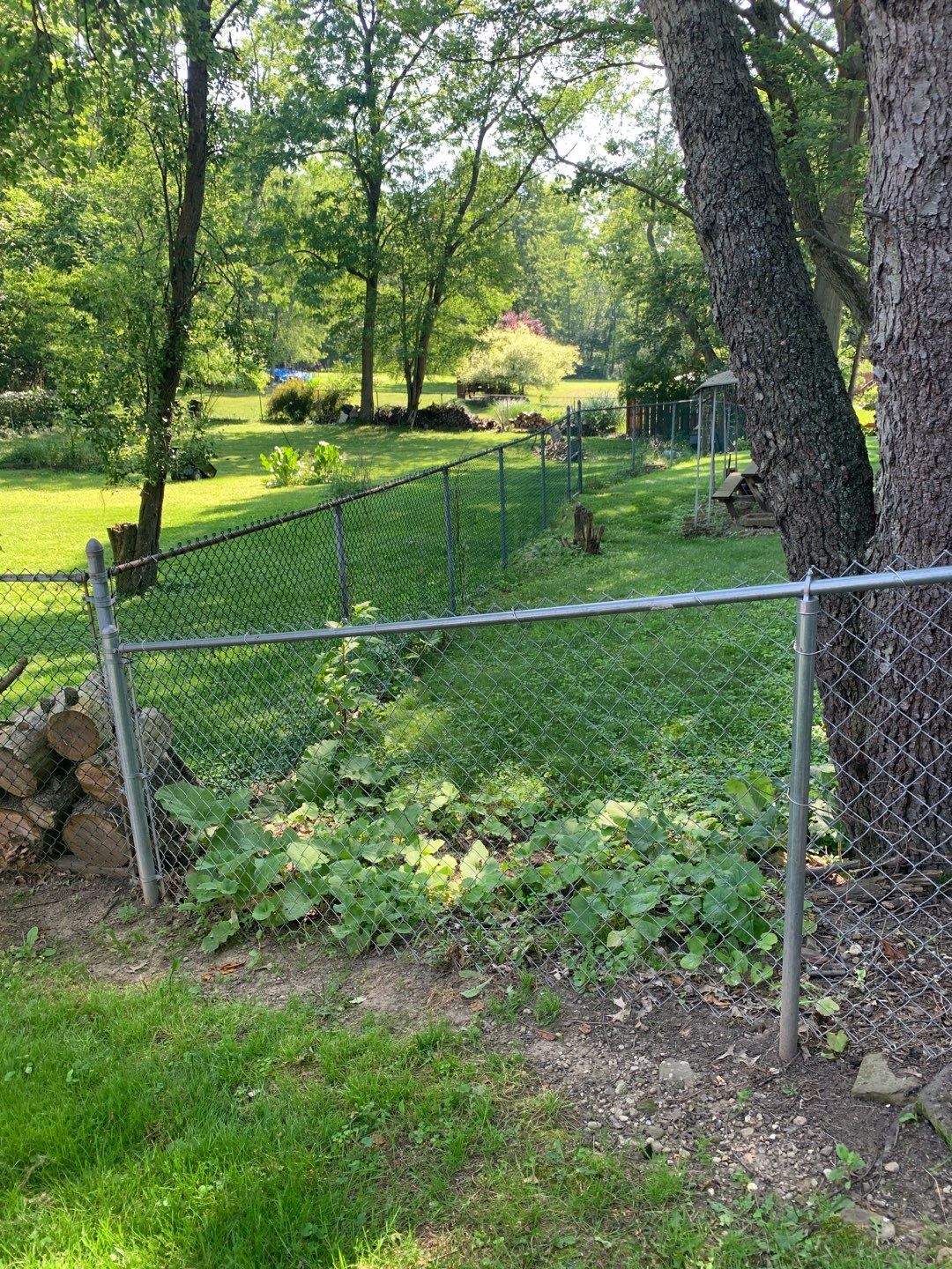 Tree Removal using Tree Removal by Mike Jones & Sons Tree Service LLC 