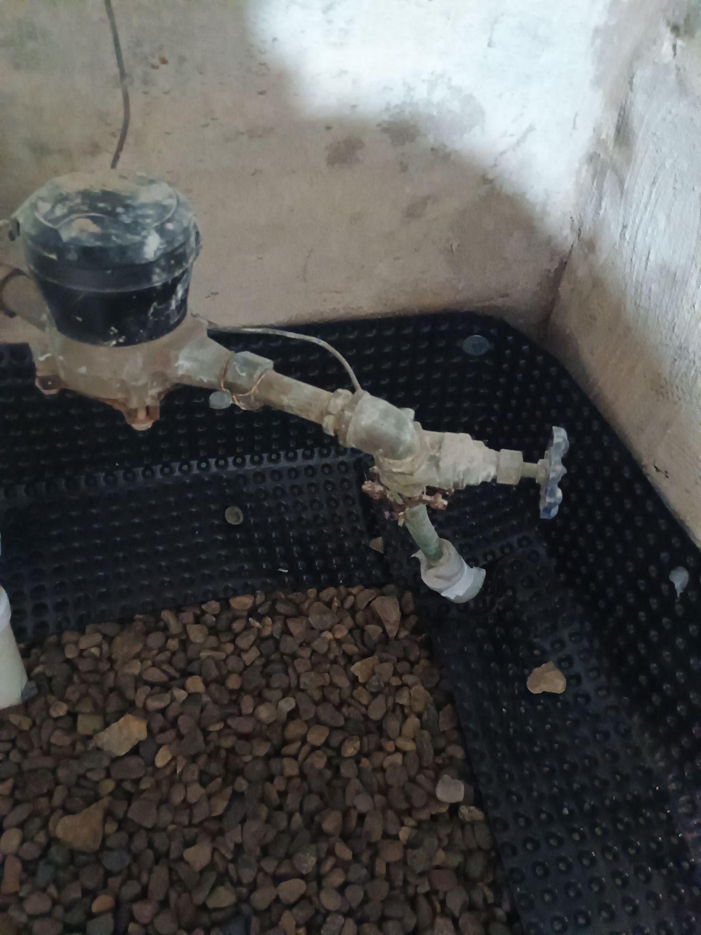 Basement Waterproofing Gone Wild by Waterproofing Northeast