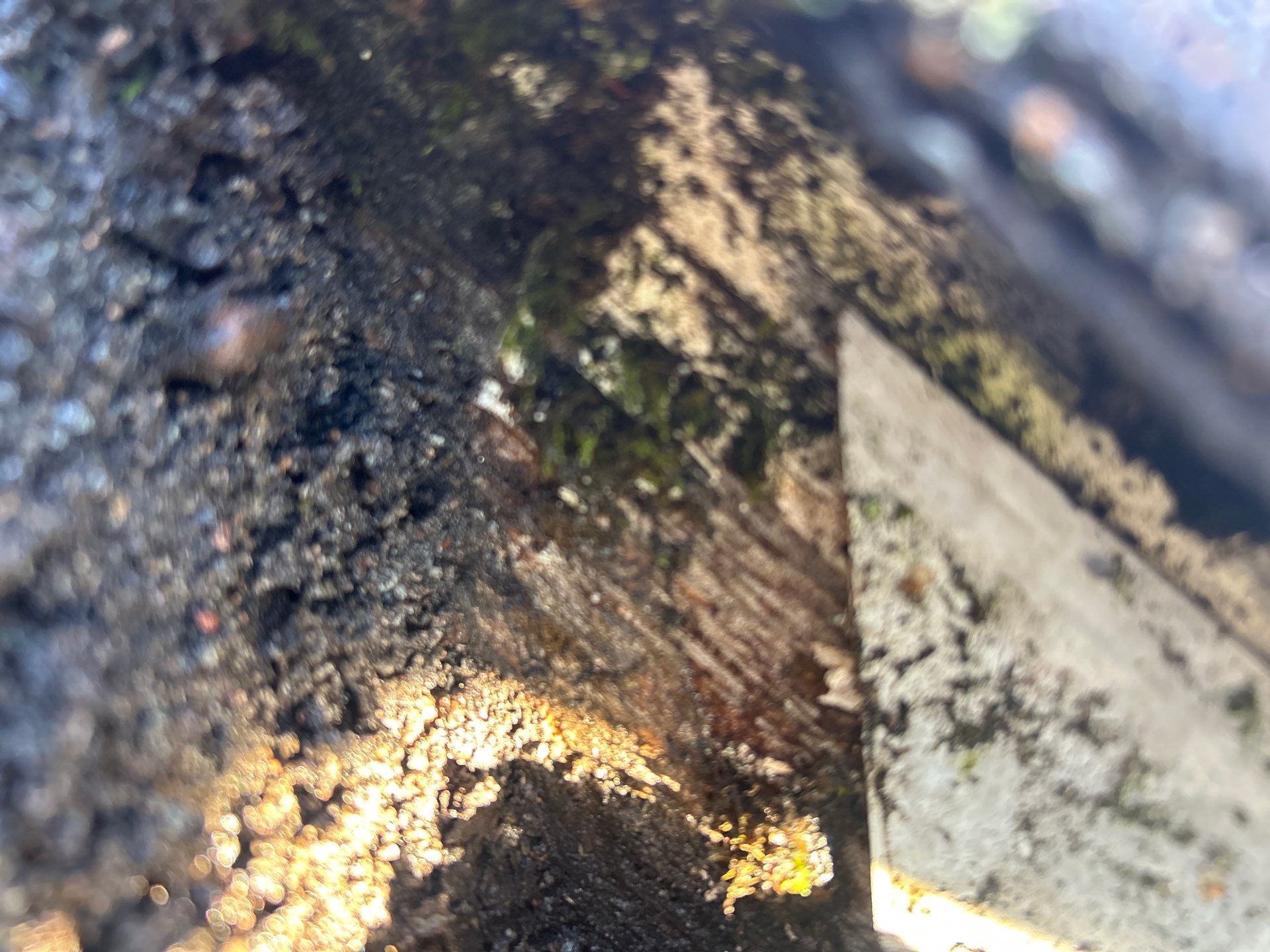 Project in Mount Vernon by Peaks and Valleys Construction