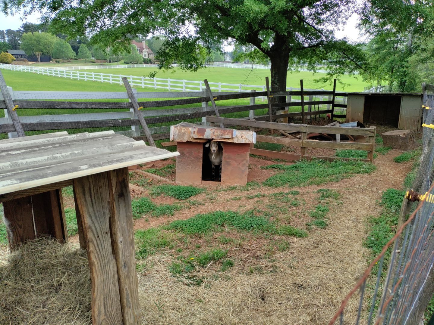 Residential Roofing Installation using Owens Corning by Inspector Roofing and Restoration
