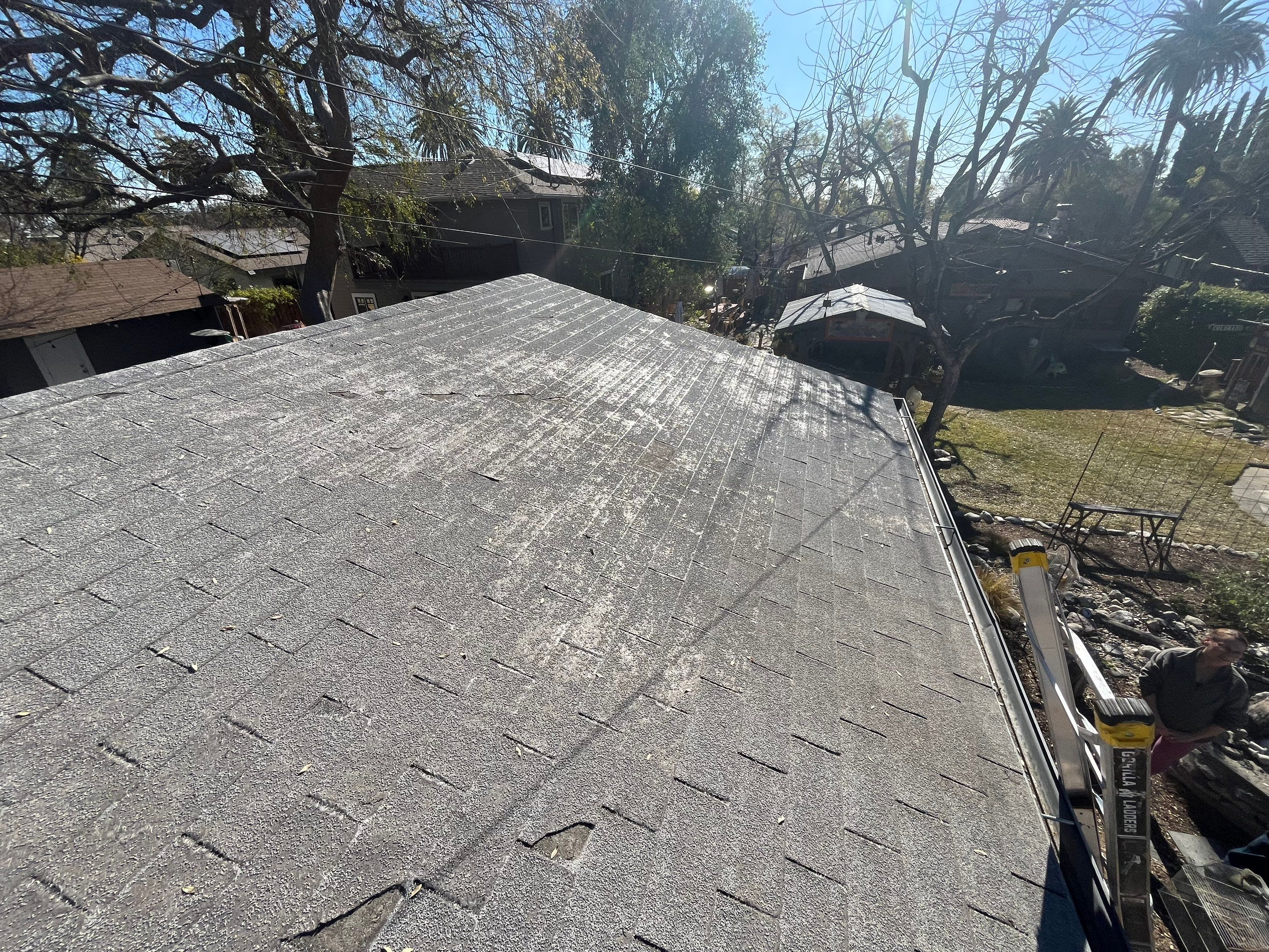 Paloma Project by Green Ladder Roofing Company