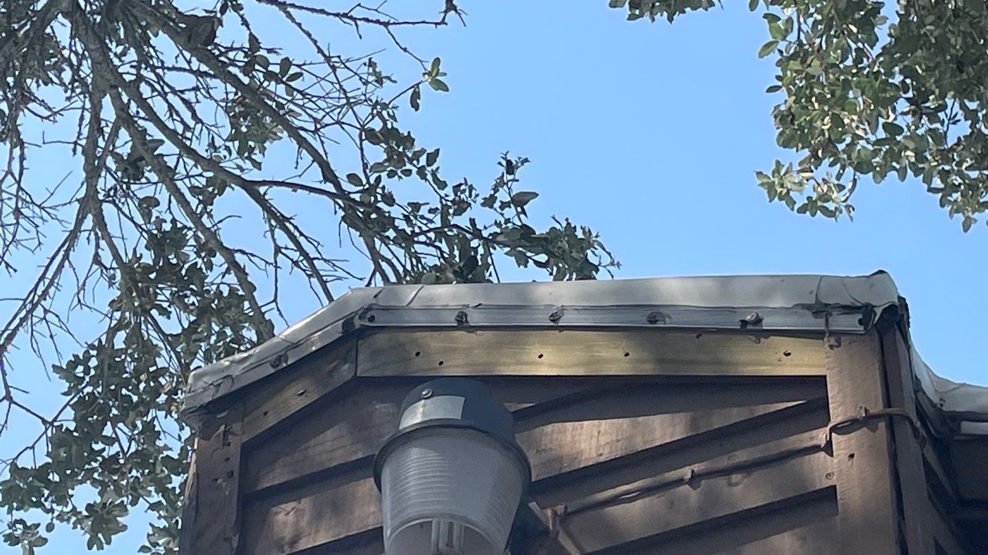 Cartoon Roof turned TPO Elegant by Bayfront Roofing and Construction