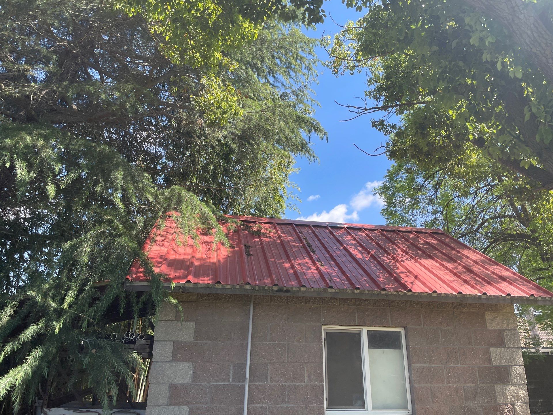 Presidential shingle roof by Straight Edge Roofing Inc