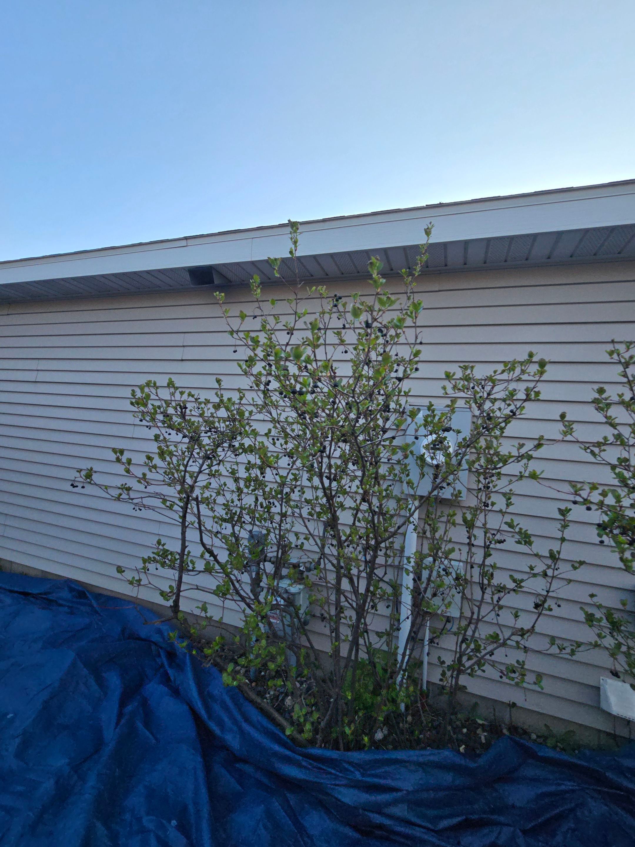 Project in Waite Park by CoMitted 365 Roofing & Exteriors 