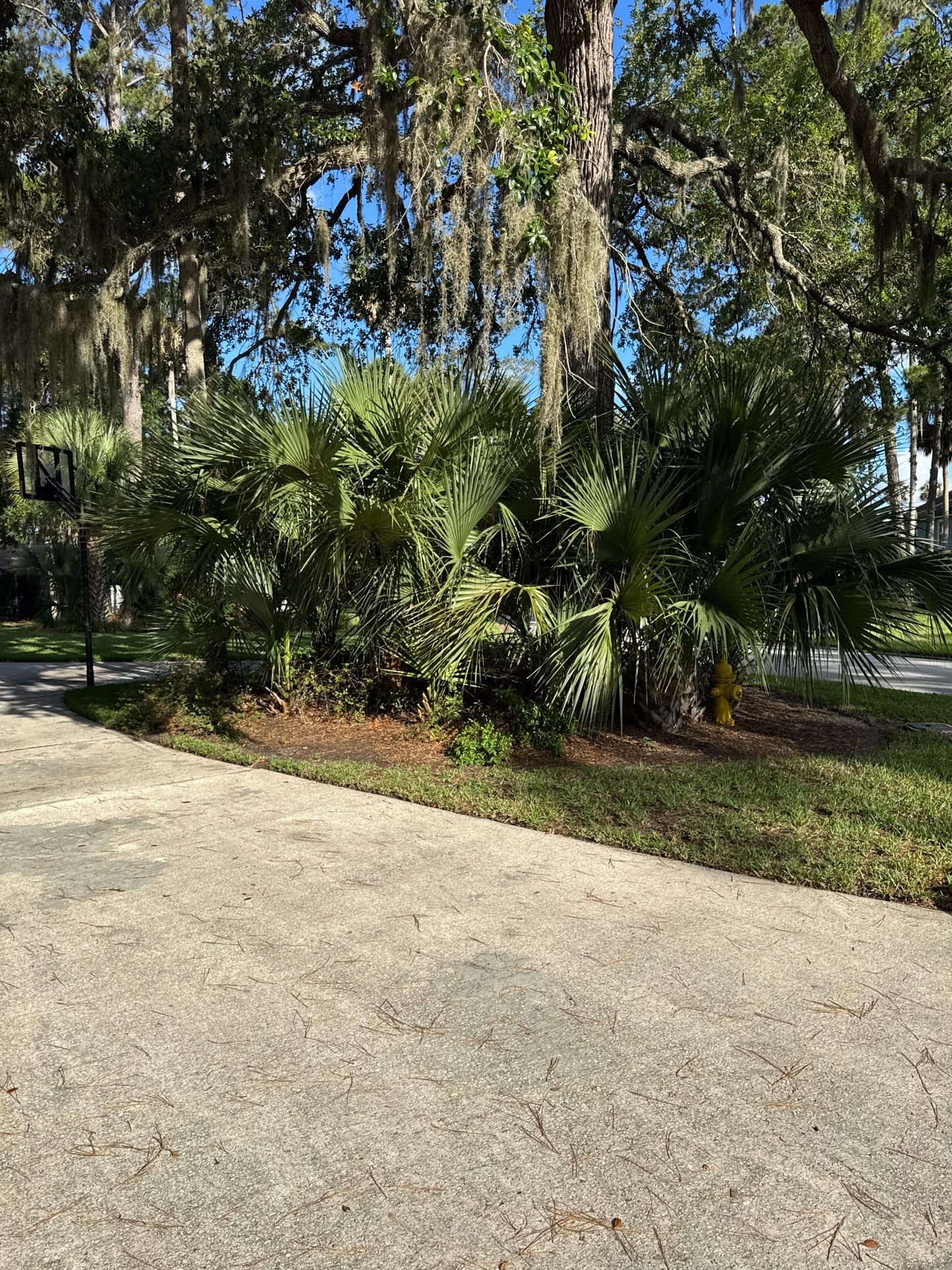 Residential | Pine Straw Install by ProGreen Services