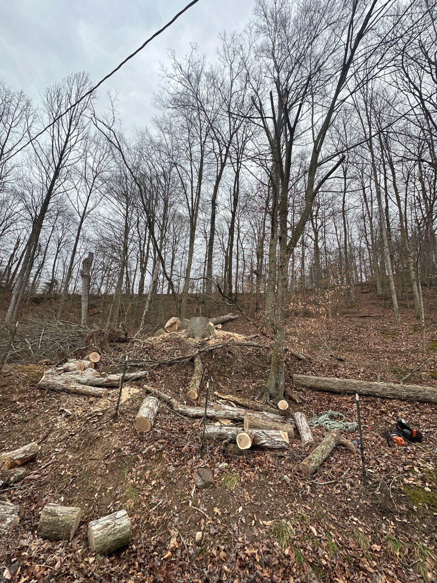 Project in WV by Jones Empire LLC