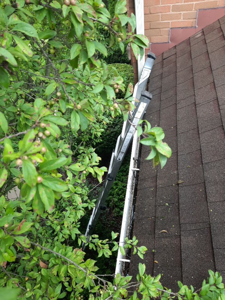 Bill Herrington by Silver Leaf Contracting 